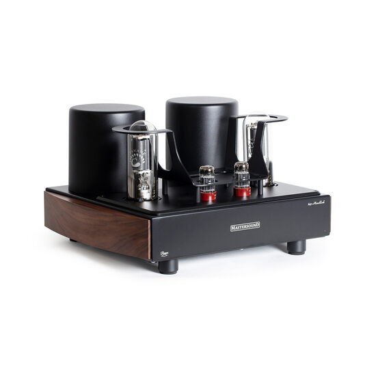 Mastersound 845 Monoblocks (pair)